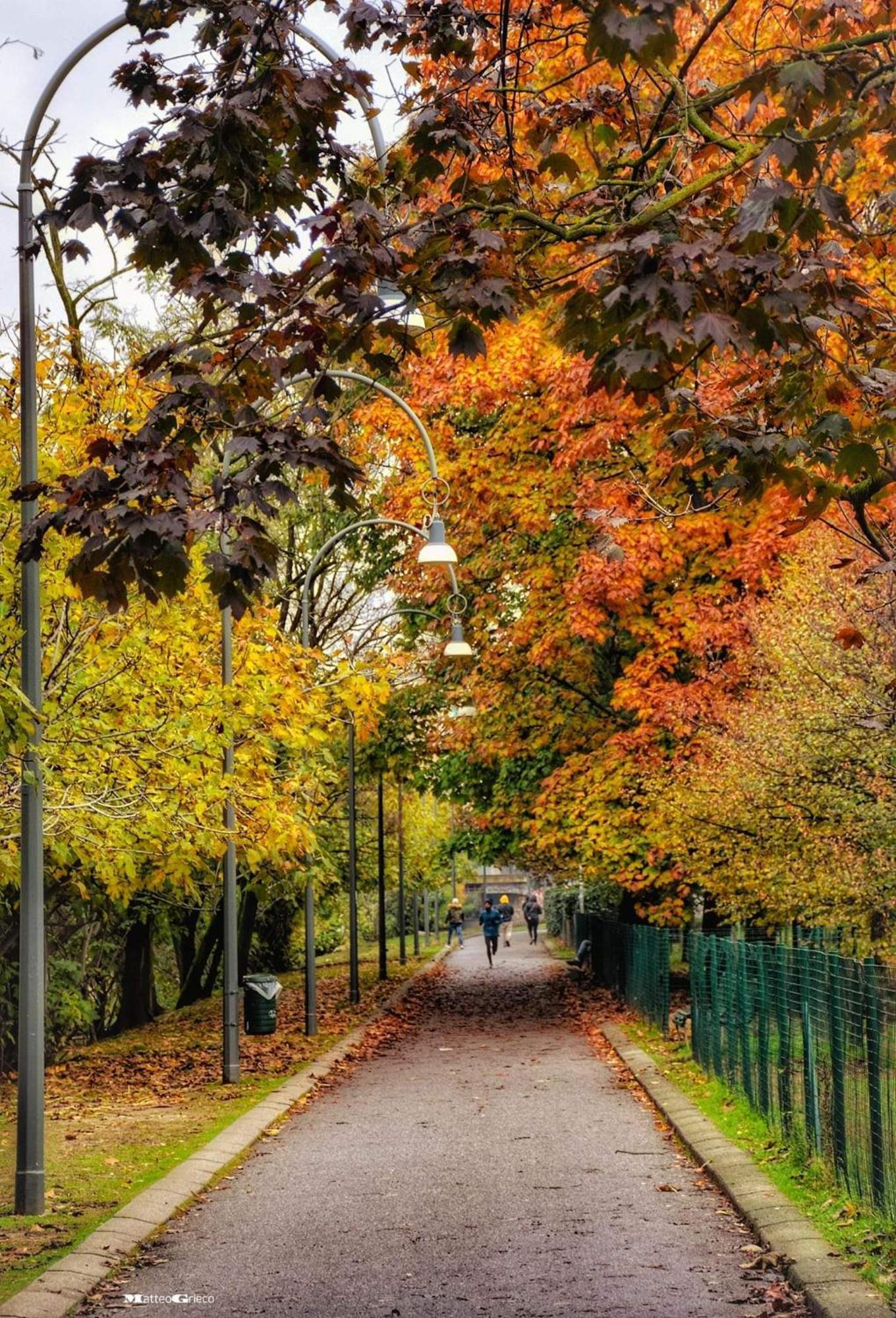 La Casa Di Alida * Milan